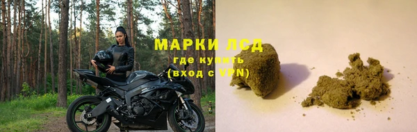 ECSTASY Белокуриха