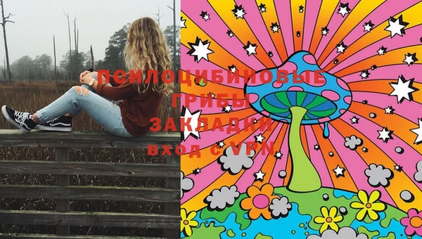 ECSTASY Белокуриха