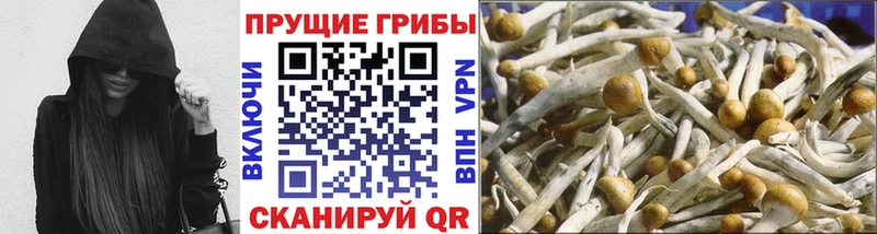 Галлюциногенные грибы MAGIC MUSHROOMS  mega ONION  Онега 